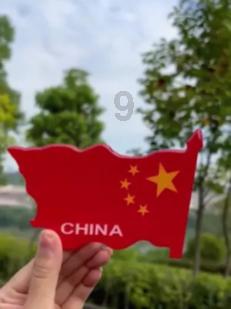 党徽的光芒闪耀在抗震救灾一线